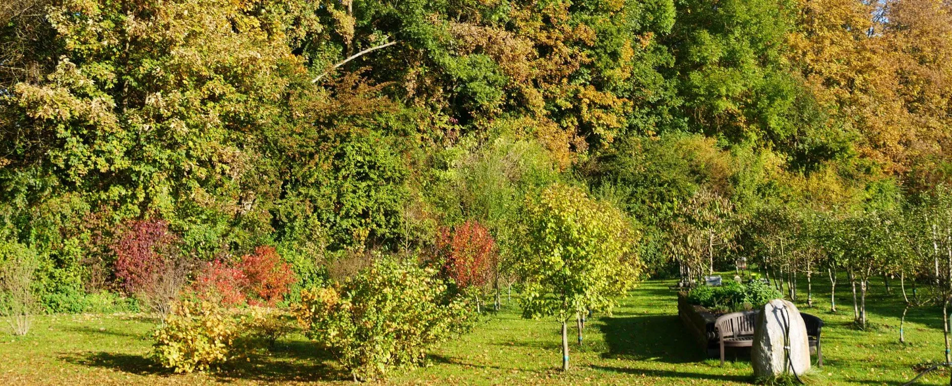 Obstgarten