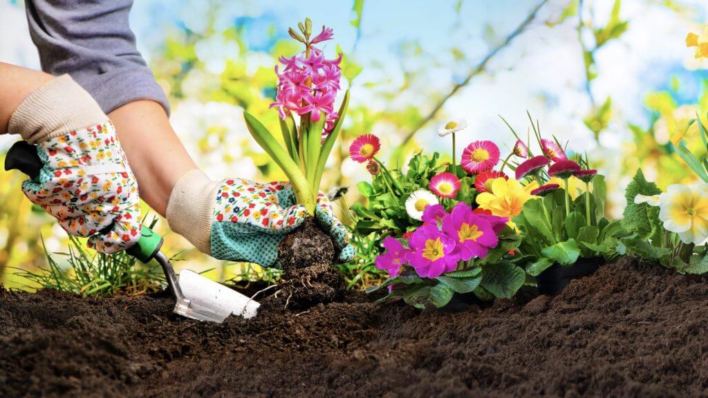 Humuserde kaufen Humus Gartenerde in größeren Mengen im 5SeenLand